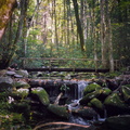 Gabes Mountain Trail